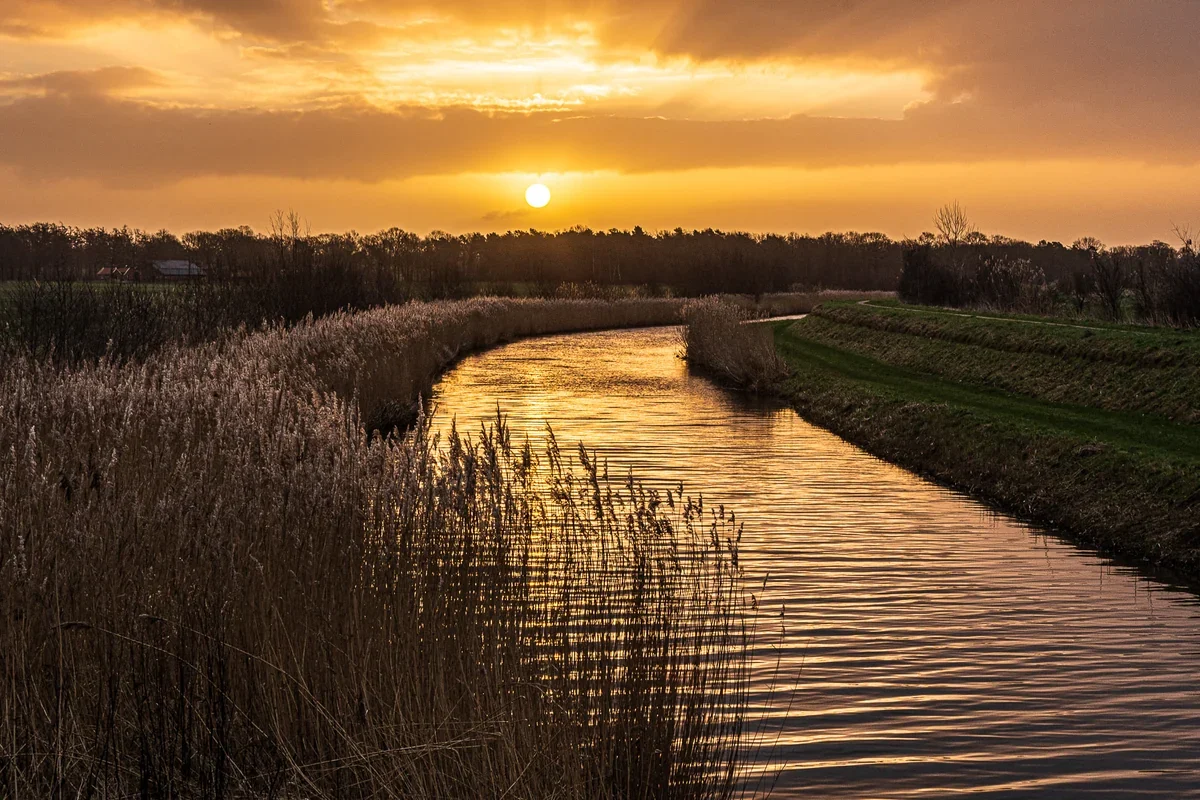 Laagstaande zon boven een kronkelende waterloop tussen riet en gras